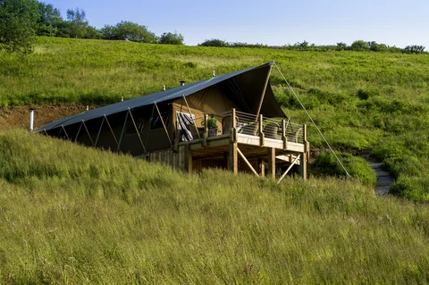 A Safari Lodge Treehouse and raised deck on the green hillside