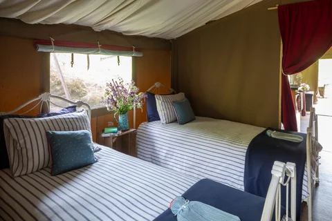 Twin beds beside a window in a Safari Lodge