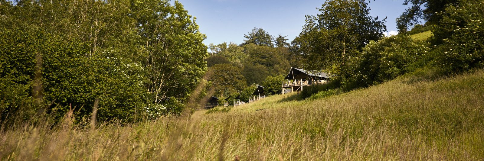 Group glamping lodges at Longlands Devon set in a private North Devon valley