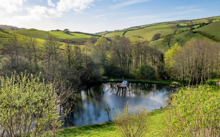 Private lake at Longlands Devon for wild swimming, rowing and paddleboarding
